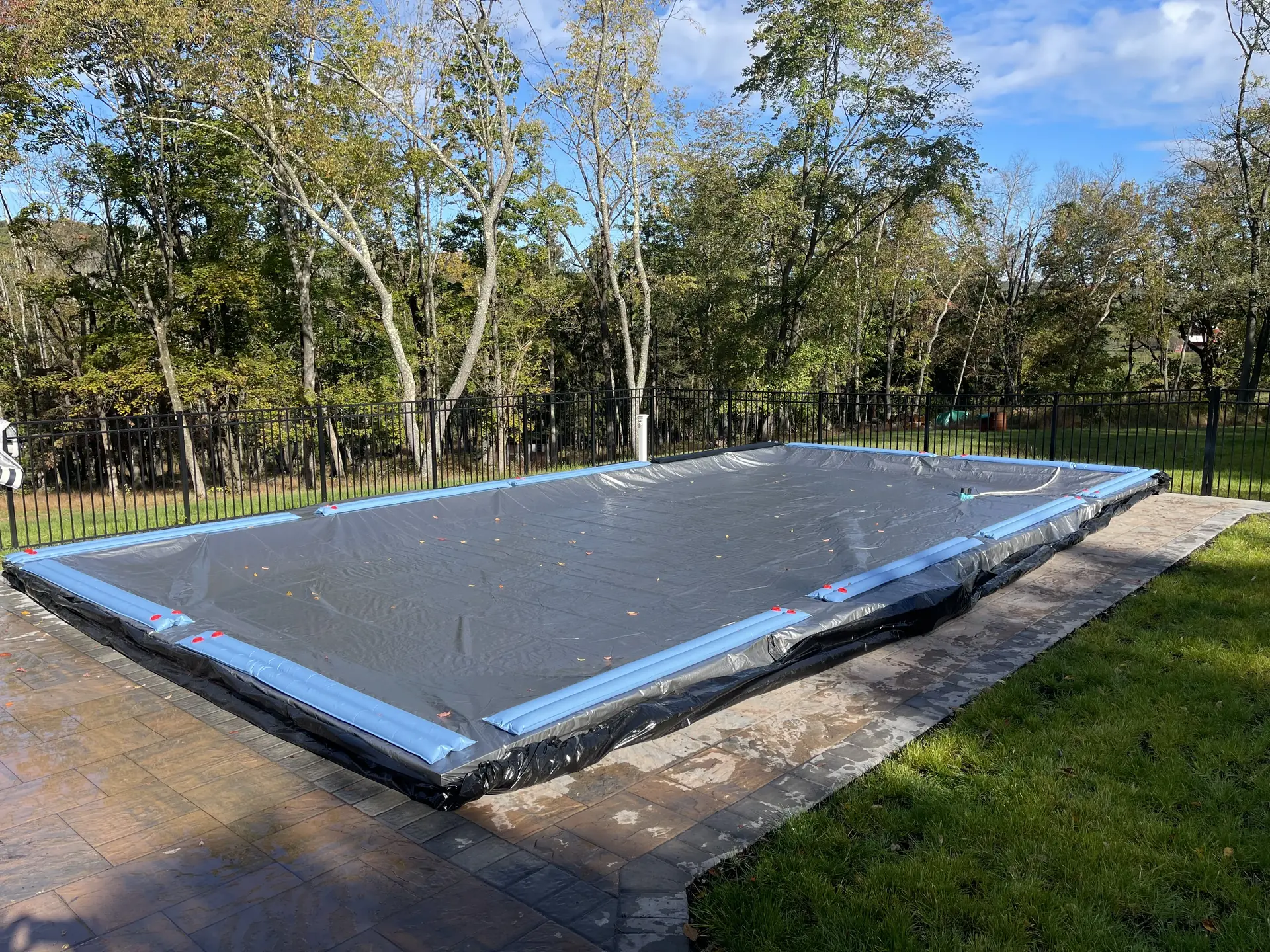 Inground pool with cover, landscaped yard